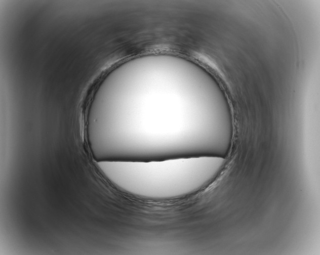 X0000088701219200705311010