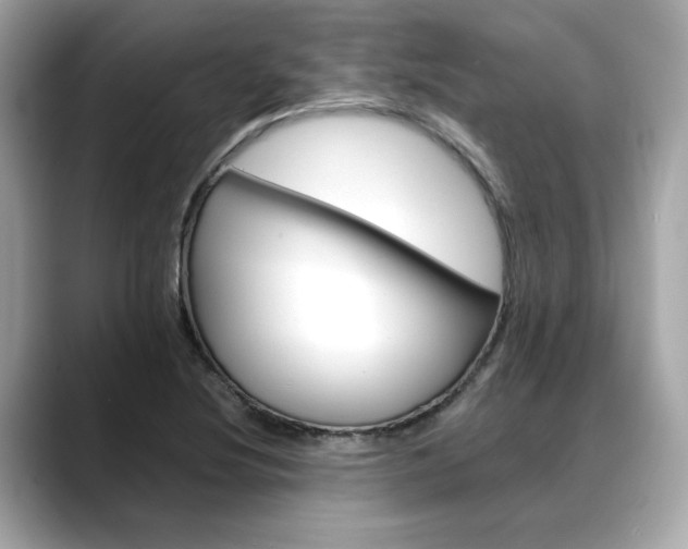 X0000088701220200705311010