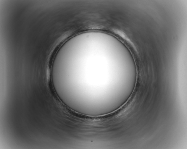 X0000088701221200705311010