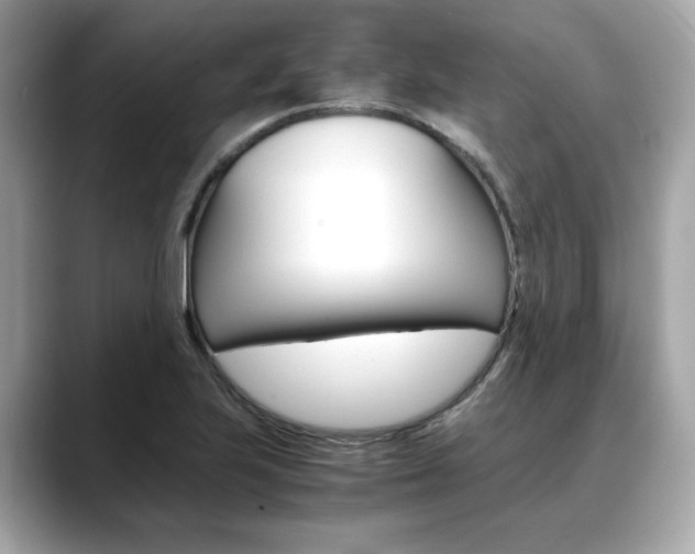 X0000088701223200705311010
