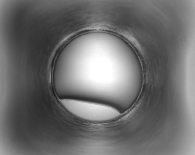 X0000088701224200705311010