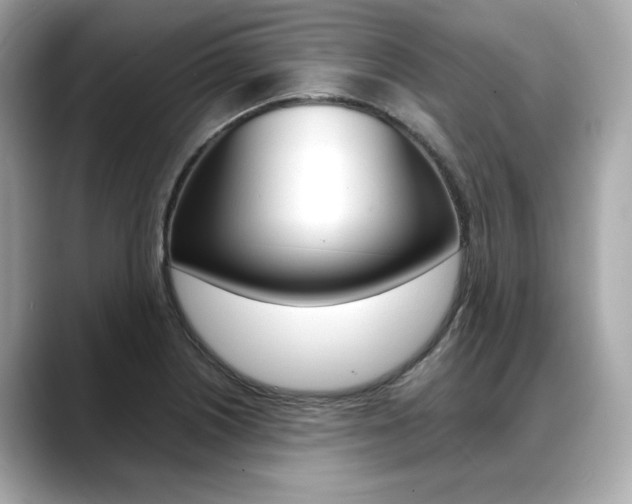 X0000088701226200705311010