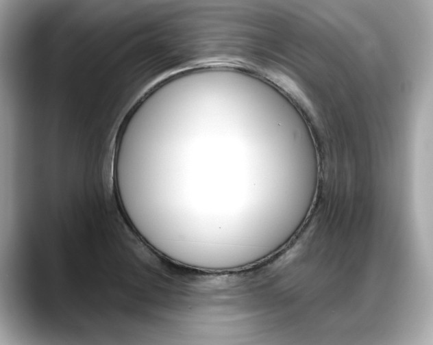 X0000088701228200705311010