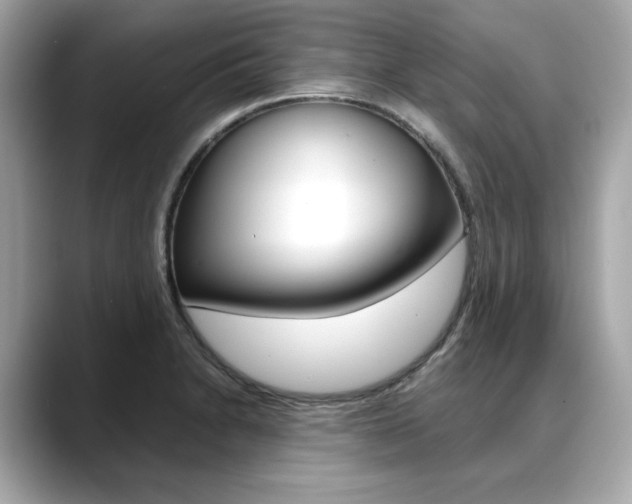X0000088701230200705311010
