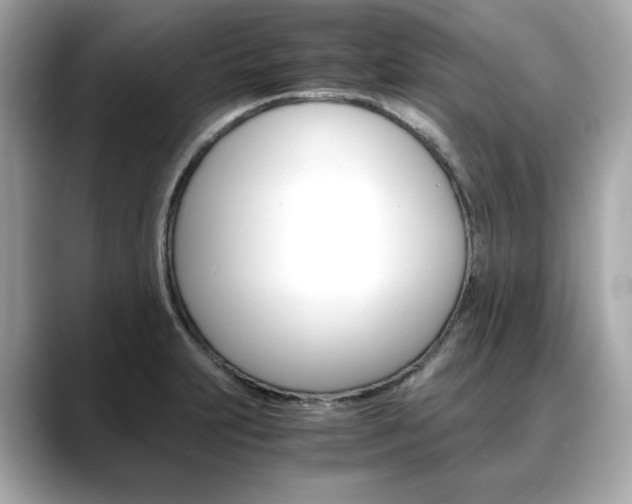 X0000088701231200705311010