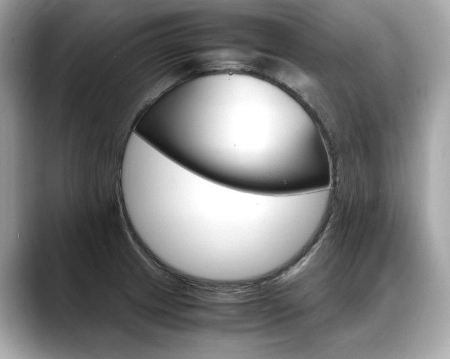 X0000088701233200705311010