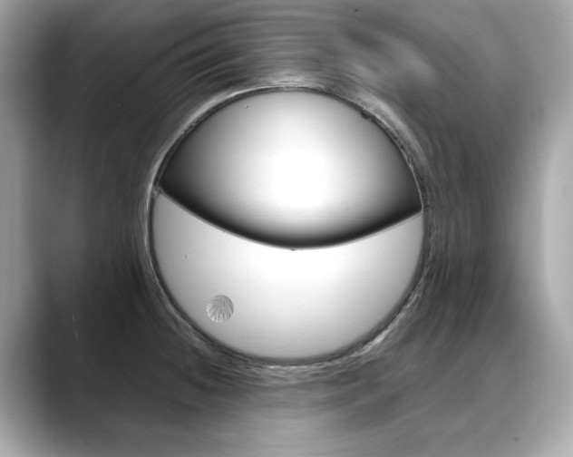 X0000088701236200705311010