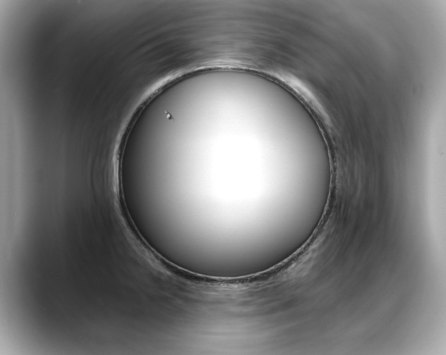 X0000088701238200705311010