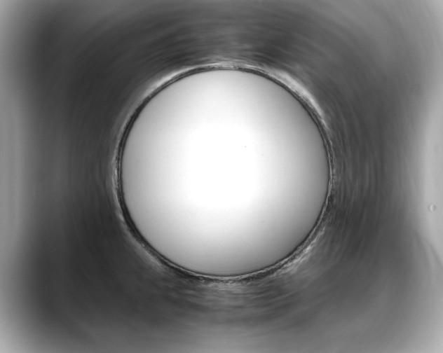 X0000088701239200705311010