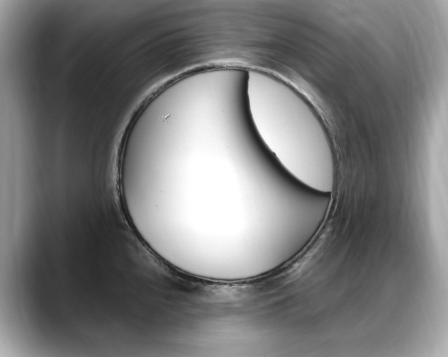 X0000088701240200705311010
