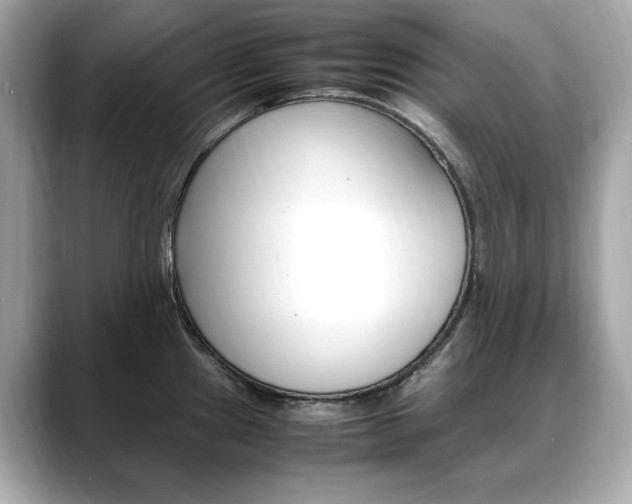 X0000088701241200705311010