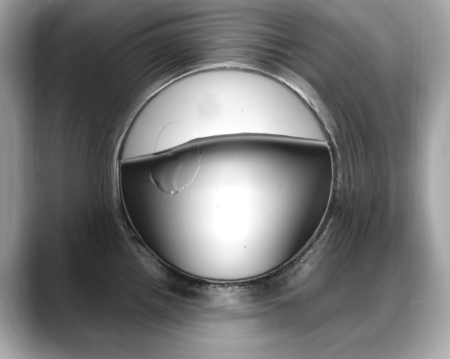 X0000088701242200705311010