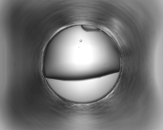 X0000088701244200705311010