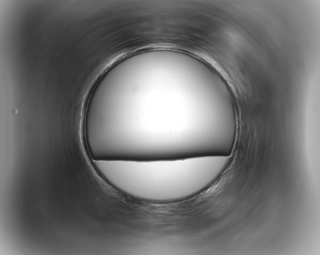X0000088701245200705311010