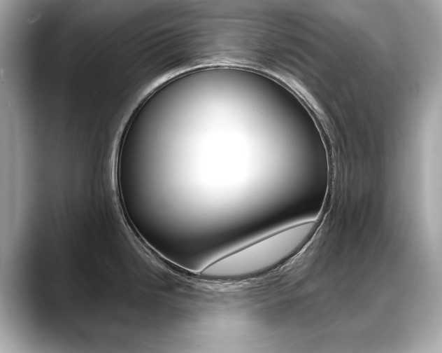 X0000088701246200705311010