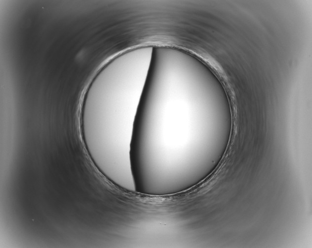 X0000088701248200705311010