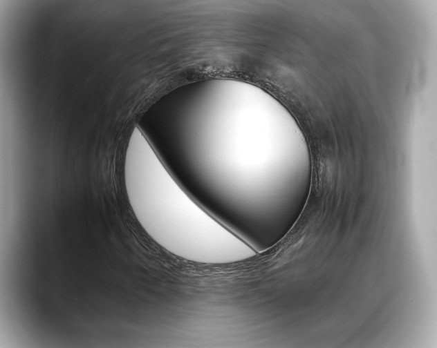X0000088701250200705311010