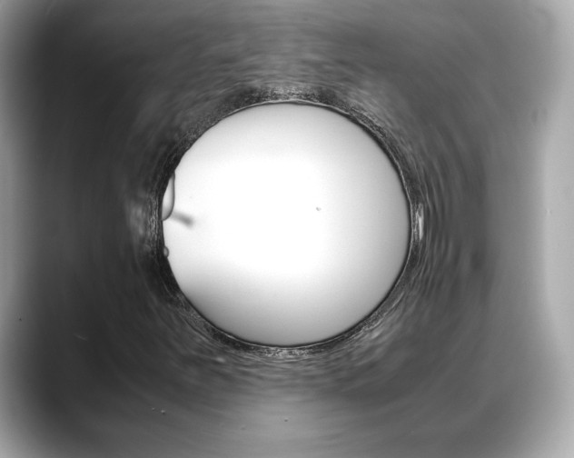 X0000088701251200705311010