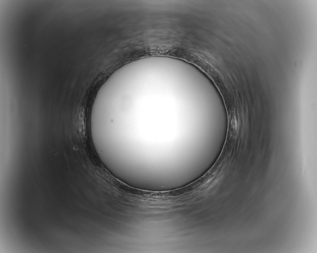 X0000088701252200705311010
