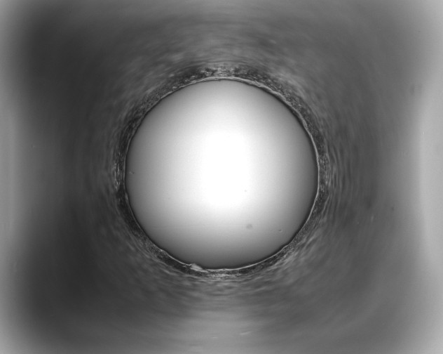 X0000088701253200705311010