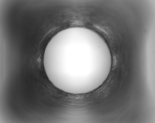 X0000088701254200705311010
