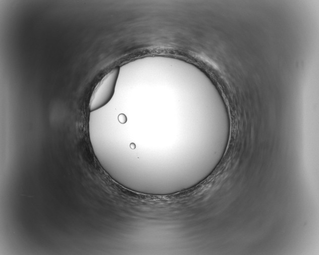 X0000088701255200705311010