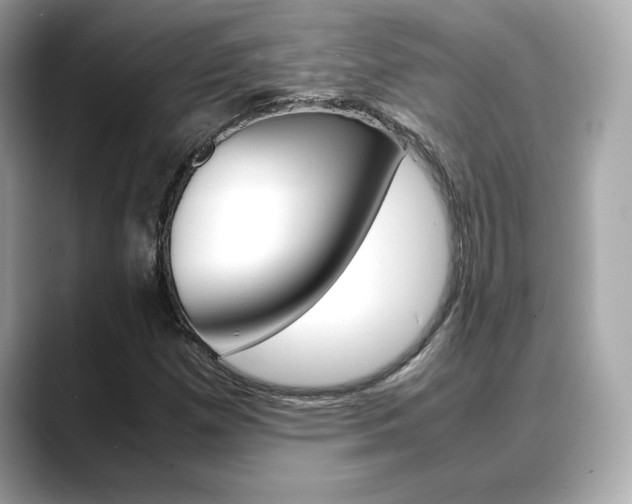 X0000088701257200705311010