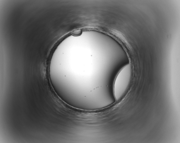 X0000088701260200705311009
