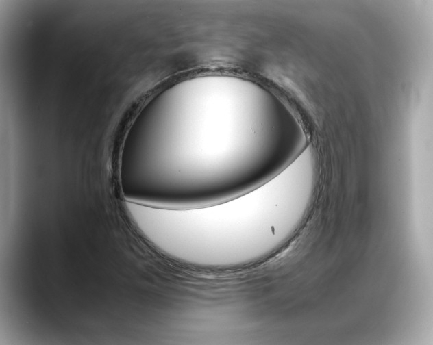 X0000088701261200705311009