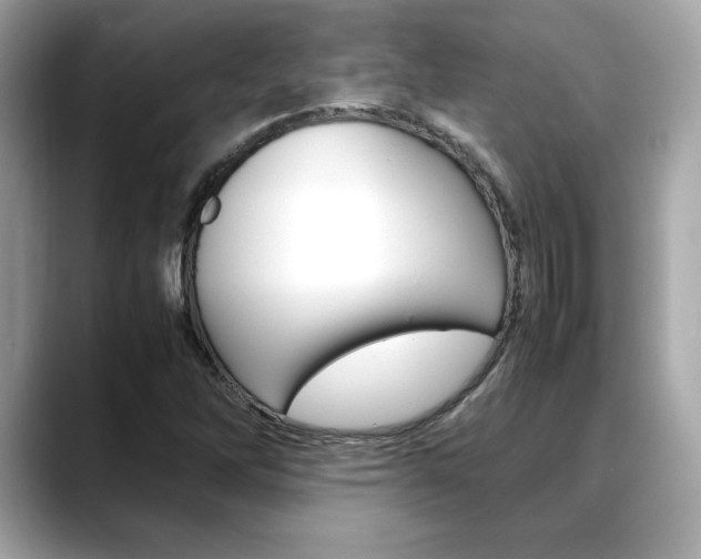 X0000088701262200705311009