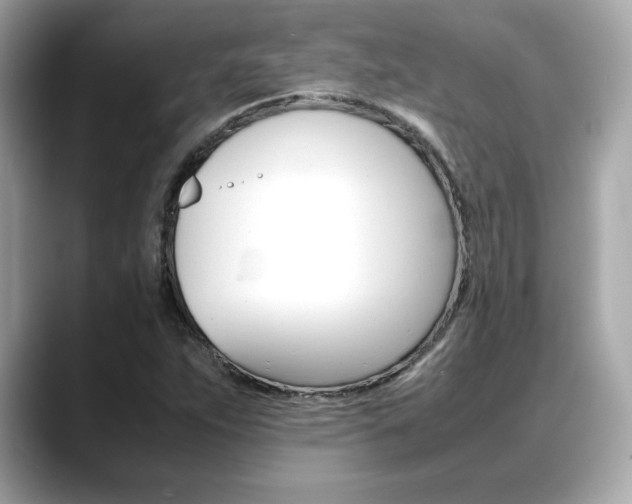 X0000088701263200705311009
