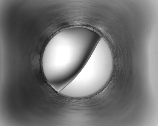 X0000088701265200705311009