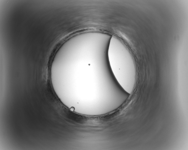 X0000088701267200705311009