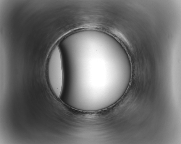 X0000088701268200705311009