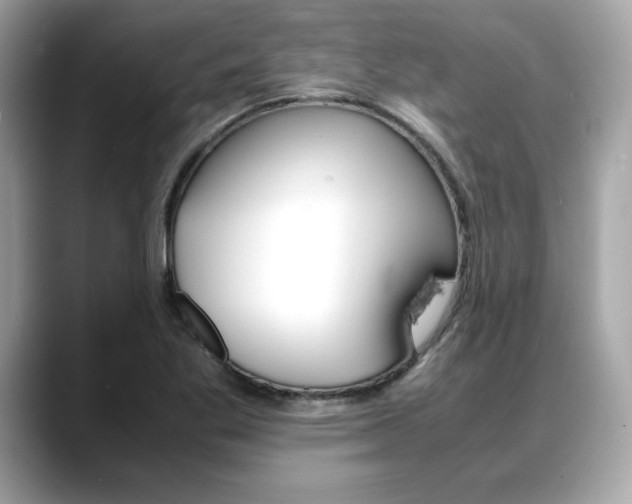 X0000088701269200705311009