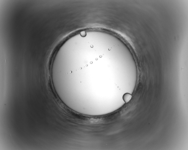 X0000088701271200705311009