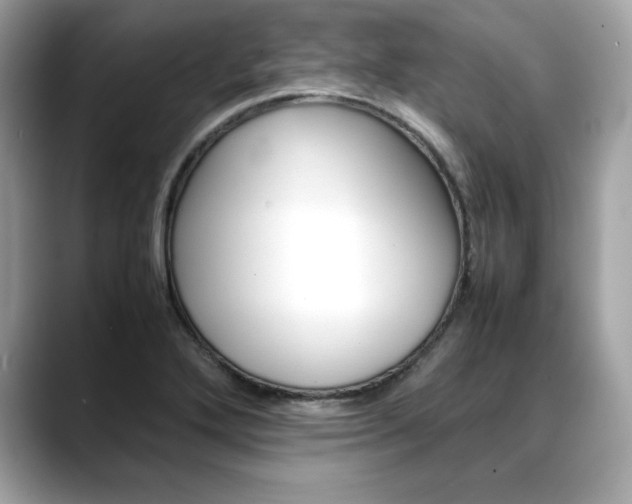 X0000088701272200705311009