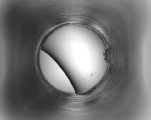 X0000088701275200705311009
