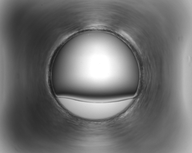 X0000088701277200705311009