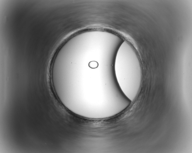 X0000088701279200705311009