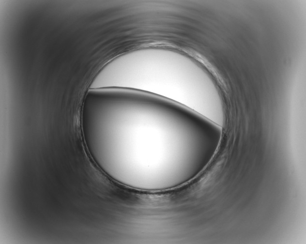 X0000088701281200705311009