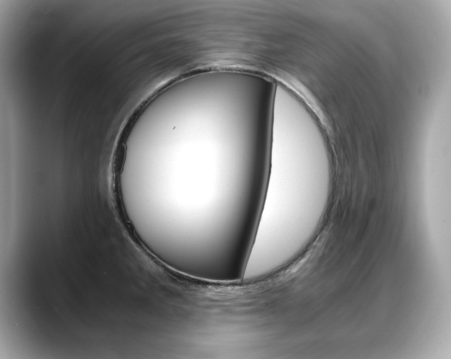 X0000088701285200705311009
