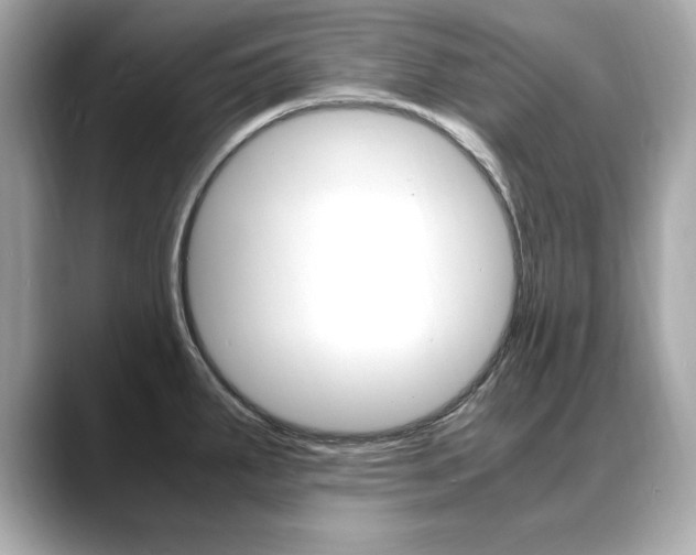 X0000088701287200705311009