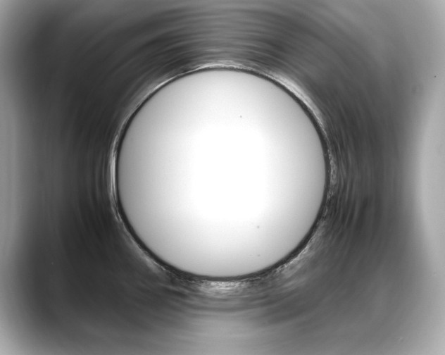 X0000088701290200705311009