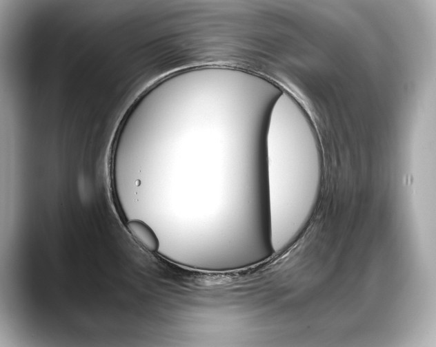 X0000088701291200705311009