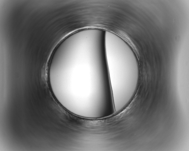 X0000088701292200705311009