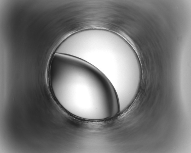 X0000088701293200705311009