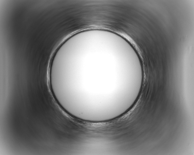 X0000088701294200705311009