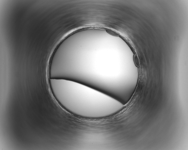 X0000088701295200705311009