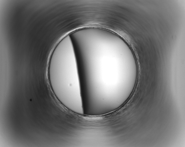 X0000088701296200705311009